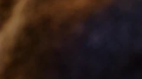 lostinspaxe online show from December 2025 12:25:02 PM