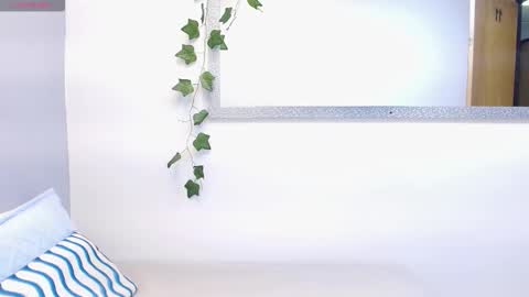 Louis K online show from February 2026 11:25:01 AM