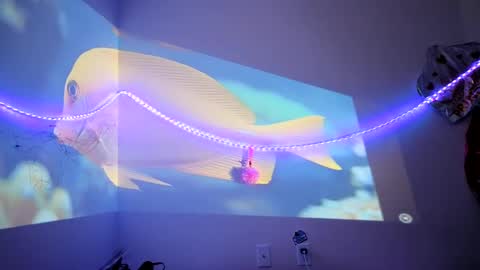 lovecandycunt143 online show from September 2025 08:23:02 PM