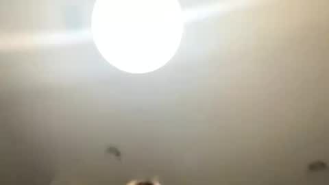 Love online show from January 2025 10:51:02 PM