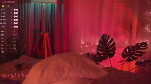 Nelly online show from February 2025 05:04:01 PM