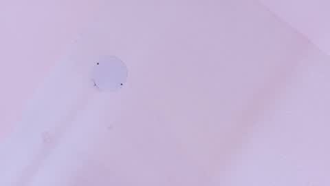 L O V E  online show from March 2026 11:38:01 AM