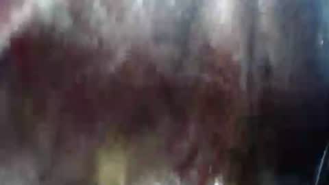 Mature lover2 online show from February 2025 10:37:01 PM