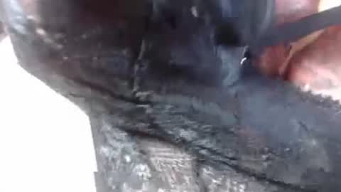 Mature lover2 online show from February 2025 09:14:02 PM