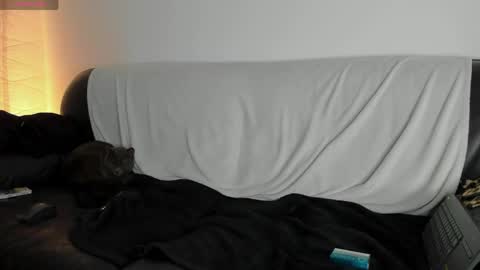 Snapshot of lovermike_ chatting on May 2026 04:24:01 PM Mike online show from May 2026 04:24:01 PM