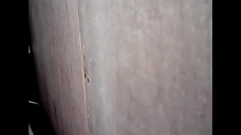 Khatty online show from January 2025 02:03:02 PM