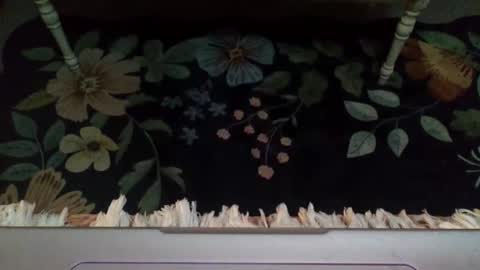 Snapshot of lovetubes101 chatting on October 2025 12:46:02 AM lovetubes101 online show from October 2025 12:46:02 AM