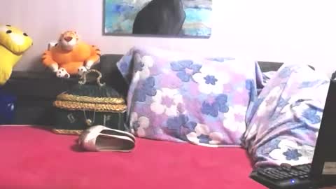 Anna online show from October 2025 10:33:02 PM