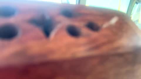 Snapshot of loveyourkittty chatting on March 2025 10:17:02 PM StacyMaeWish online show from March 2025 10:17:02 PM