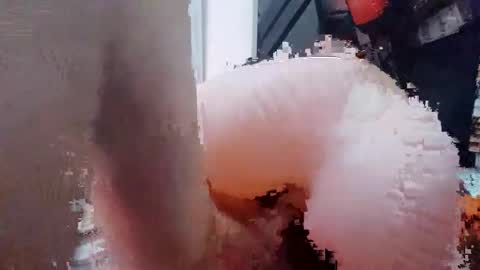 2096512345 online show from February 2025 10:11:02 PM