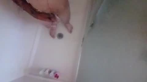 2096512345 online show from October 2025 07:35:02 PM