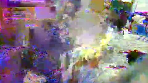 lu25humiliation online show from October 2025 06:52:01 PM