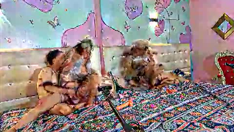 lu_pink online show from October 2025 02:37:01 PM