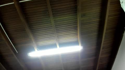 luca_morettii online show from November 2025 12:16:01 PM