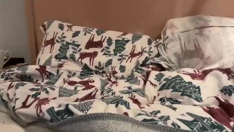 lucca_d123 online show from September 2025 07:21:02 AM