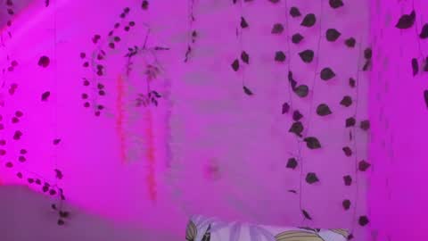 Snapshot of lucianromeo17 chatting on June 2026 07:49:01 AM Lucy or Lucian 3 Come to my social Links3 online show from June 2026 07:49:01 AM