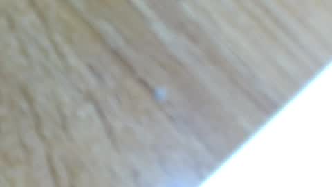 Snapshot of lucie_nicolls chatting on December 2024 12:31:02 AM Lucie online show from December 2024 12:31:02 AM