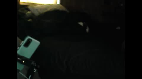 LuckyBlondeCouple online show from December 2024 02:28:01 PM