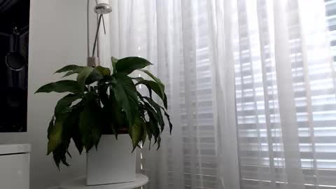 luckystrike6981 online show from April 2026 01:56:02 PM