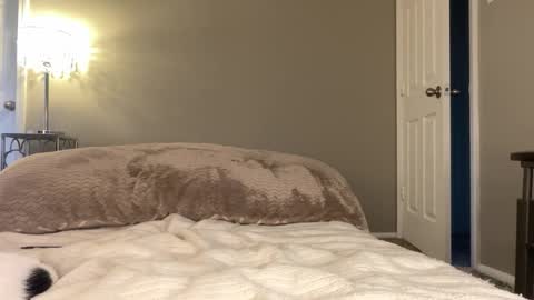 Lucy online show from November 2025 09:59:01 PM