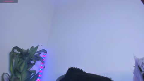 luciana online show from November 2025 01:16:01 AM