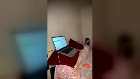 Luisa Monsters online show from February 2026 11:57:02 PM