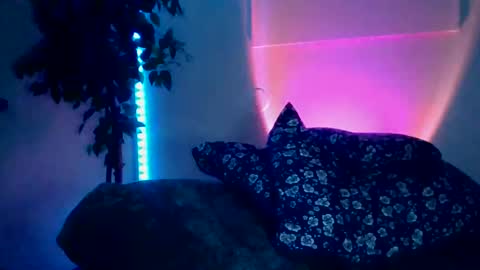 Snapshot of luisjg24hrs chatting on May 2026 08:42:02 AM luisjg24hrs online show from May 2026 08:42:02 AM