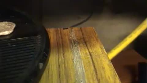 lukestarfckr online show from September 2025 07:19:02 PM