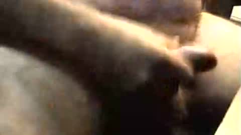 lukestarfckr online show from November 2025 09:22:01 AM