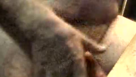 lukestarfckr online show from November 2025 09:19:02 AM