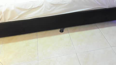 Snapshot of lulu_kawai chatting on February 2026 07:18:01 PM lulu online show from February 2026 07:18:01 PM