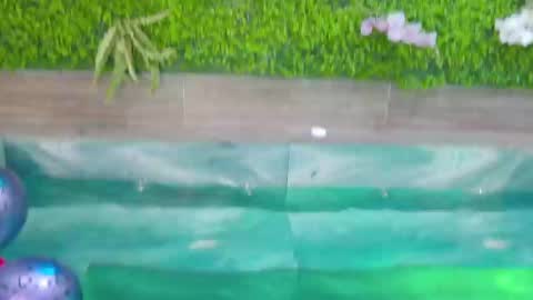 Luna online show from February 2025 02:44:01 PM