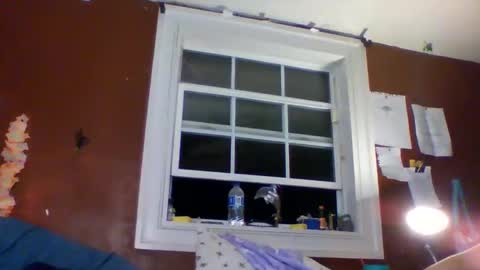 lunasecretadmirer online show from March 2026 05:31:02 AM