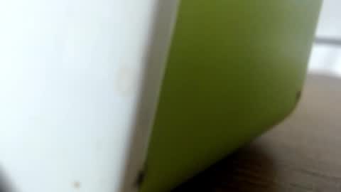 luna online show from October 2025 02:10:01 AM