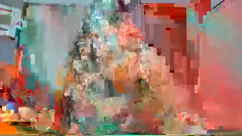 luna online show from September 2025 01:13:01 PM