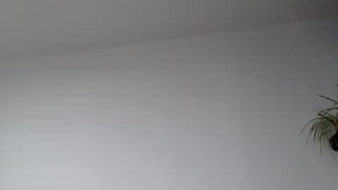 Lupine online show from September 2025 08:38:01 AM