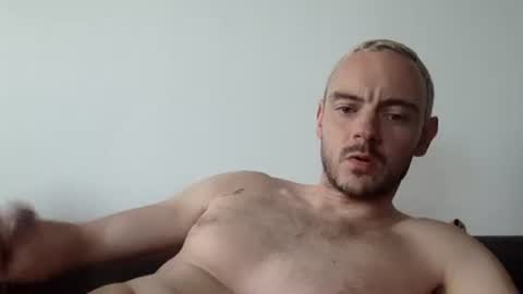 Lupine online show from September 2025 03:13:02 PM