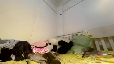 Luscious nita online show from April 2026 07:50:02 AM