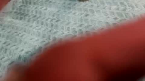 lust_4_daze online show from February 2026 12:49:01 PM