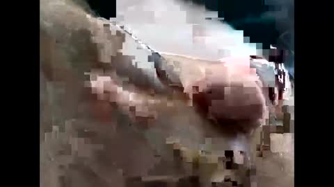 lutorres online show from November 2025 03:33:02 PM