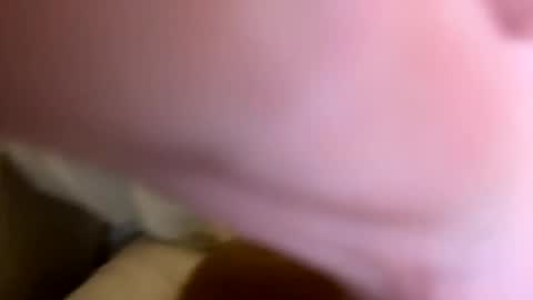 Joe and Sarah online show from December 2024 11:47:01 PM