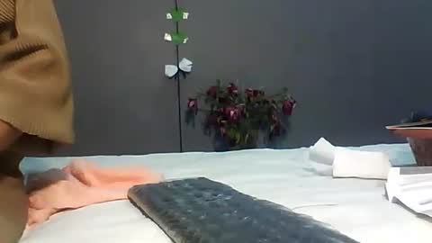 Bee Bee online show from February 2026 03:47:01 AM