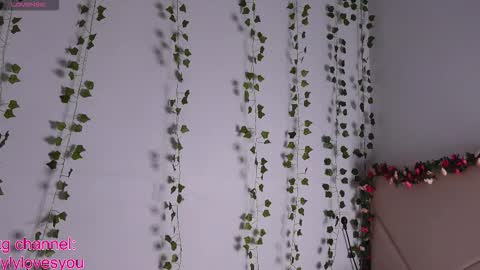 Lyly   online show from September 2025 07:41:01 AM