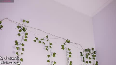 Lyly   online show from November 2025 05:40:02 AM