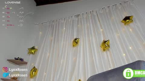 Lynx Rosen online show from January 2025 04:06:01 AM