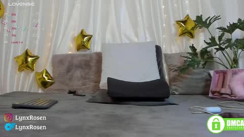 Lynx Rosen online show from January 2025 09:06:01 PM