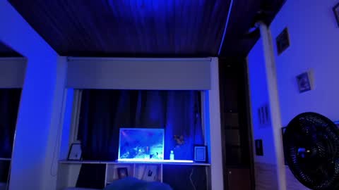 Lyssa  Everyday From 0700 to 1630 Col Time online show from January 2025 01:15:01 AM