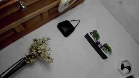 Janelovesu online show from December 2025 07:24:01 AM