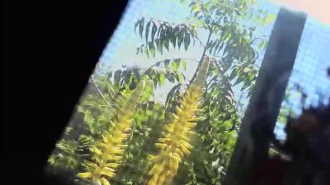 SLoppYxXPeeHoLeXxGspotxX online show from February 2026 07:34:01 PM