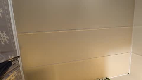 MARCUSNYX online show from November 2025 07:56:01 PM